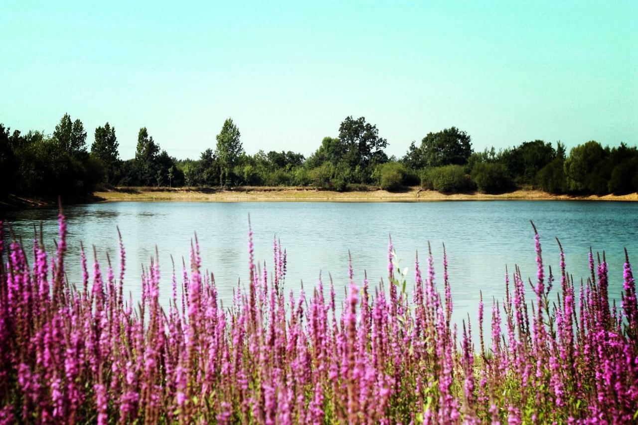 Sainte-Foy  Camping Au Pre De L'Etang מראה חיצוני תמונה